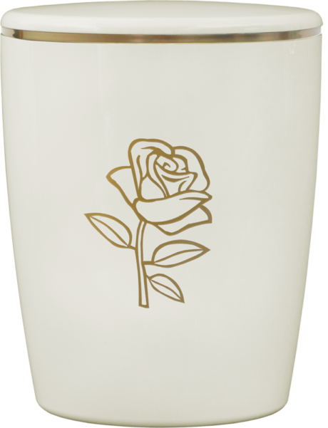 07103_creme_rose