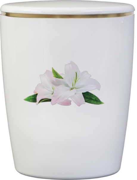 Solid-Line Flowers