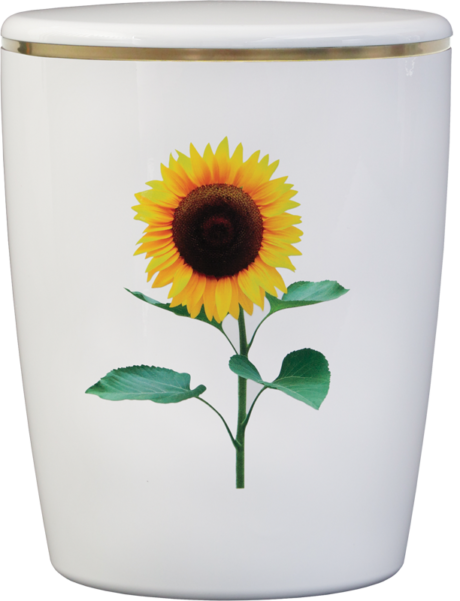 Solid-Line Flowers