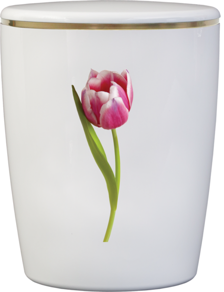 Solid-Line Flowers