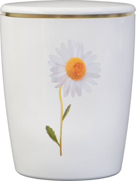 Solid-Line Flowers